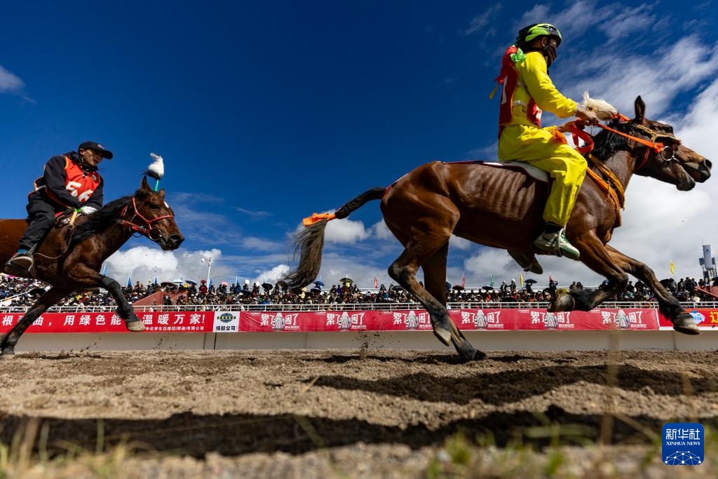 entit, 赛马场开幕