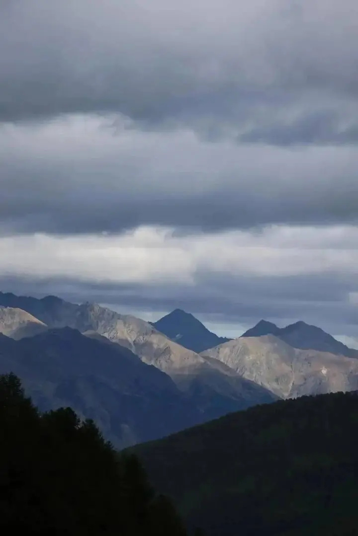 成功提升排, 的冒险 成功提升排, 的冒险