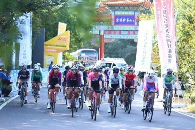 大师组桂冠 大师组桂冠